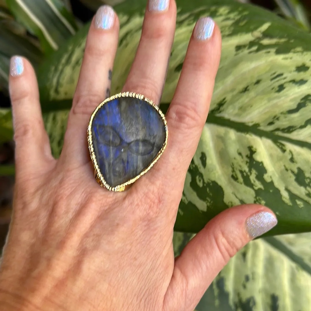 Labradorite Abduction Ring