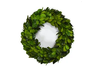 Preserved Boxwood Ring 6" - Set of 3