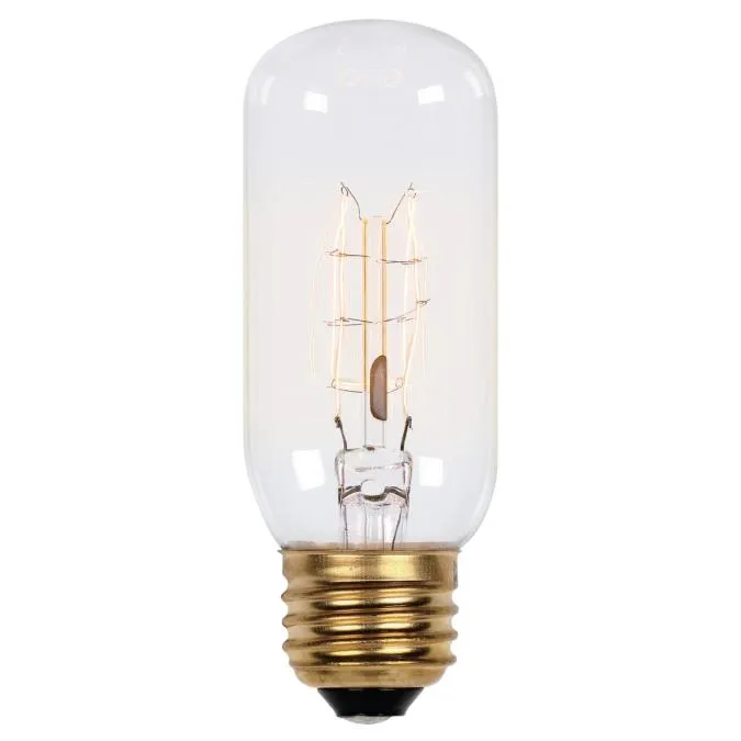 Westinghouse 0412900 60 Watt Incandescent T12 Decorative Clear - 2450 Kelvin - Warm White - E26-Medium Base - 120 Volt - Card